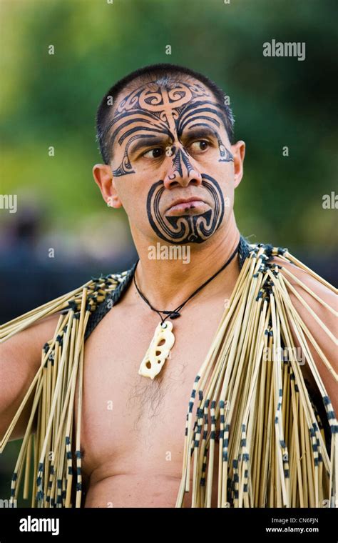 Traditional Maori Tattoo Art Maori Maori Visage