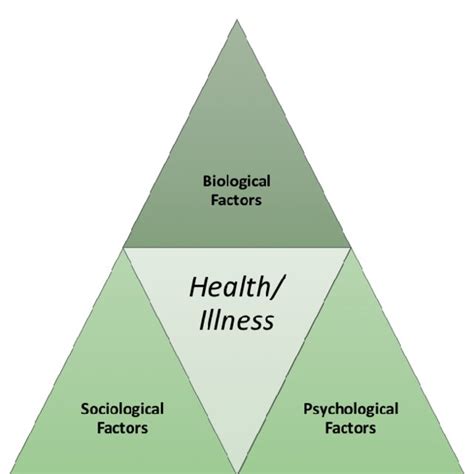 Biopsychosocial Model Of Disease Download Scientific Diagram