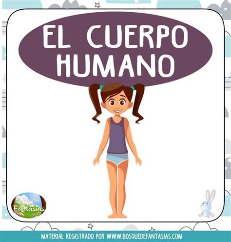 Fichas Del Cuerpo Humano Hoja 1 El Cuerpo Humano Infantil