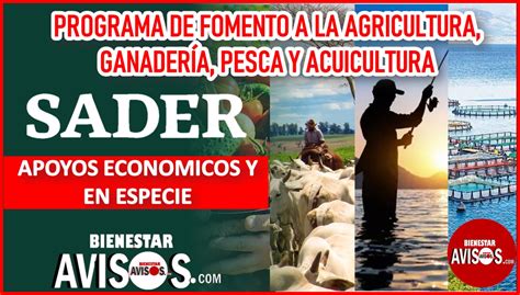 ≫ Programa De Fomento A La Agricultura Ganadería Pesca Y Acuicultura