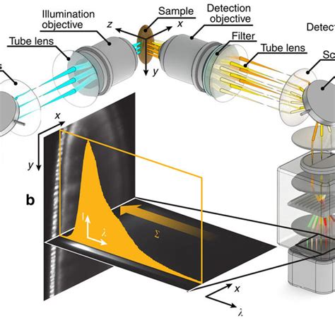 Pdf Hyperspectral Light Sheet Microscopy