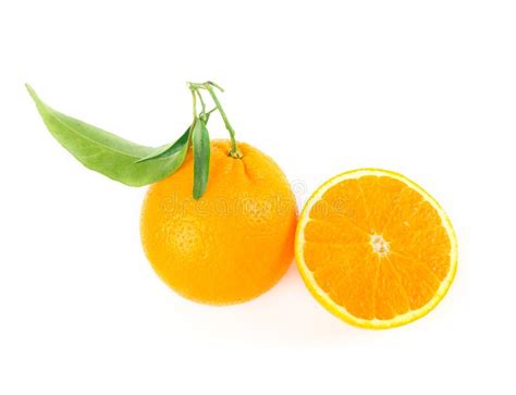 Orange Fruit Stock Photo Image Of Studio Refreshment 39035254