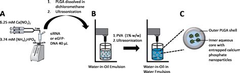 This review focus on microfluidic synthesis methods of these nanoparticles. Calcium phosphate increases the encapsulation efficiency of hydrophilic drugs (proteins, nucleic ...