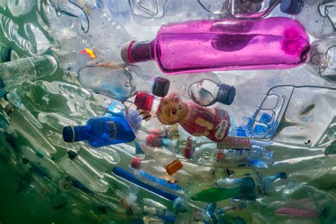 From a user perspective or a resource perspective. A running list of action on plastic pollution