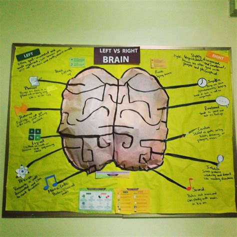 Brain Bulletin Board Something A Little Different Habits Of Mind