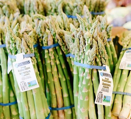 La industria del espárrago en el sur busca nuevas formas de florecer