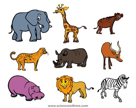 Science With Me Learn About Safari Animals