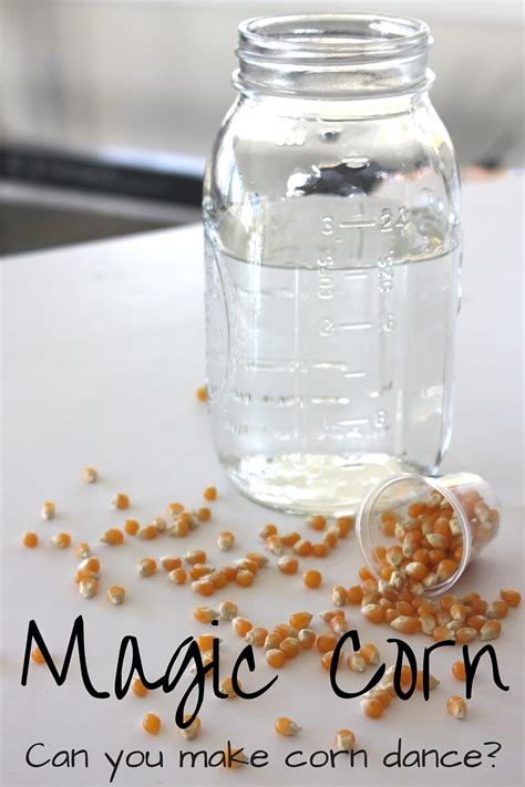 My kids love learning with simple science experiments. Magical Dancing Corn Experiment | Little Bins for Little Hands
