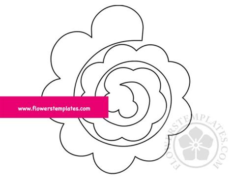 Paper Flower Rolled Rosette Template Flowers Templates