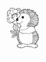 Hedgehog Coloring Printable Animals sketch template