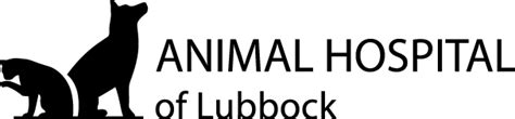 Emergency Veterinary Care In Lubbock Tx Animal Hospital Of Lubbock