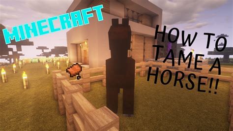 See full list on help.minecraft.net Minecraft 1.14: How To Tame A Horse - YouTube