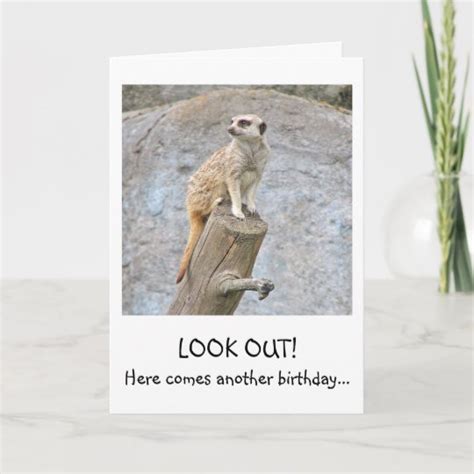 Meerkat Funny Birthday Card Uk