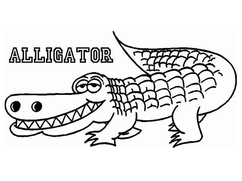 Alligator Coloring Download Alligator Coloring For Free 2019