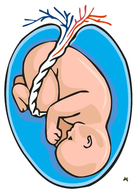 Todo Bebés Bebés Bebés Bebé Bebe En La Panza Arte De Embarazo