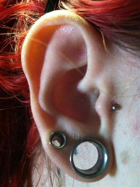 Pierced Tragus Double Gauged Size 12 And 4g Tattoos And Piercings