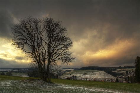 Winterliches Licht Foto & Bild | landschaft, Äcker, felder ...