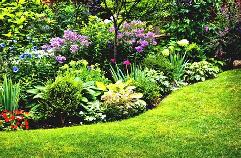 Perennial Garden Ideas For Full Sun Gardening Plans Landing Flower