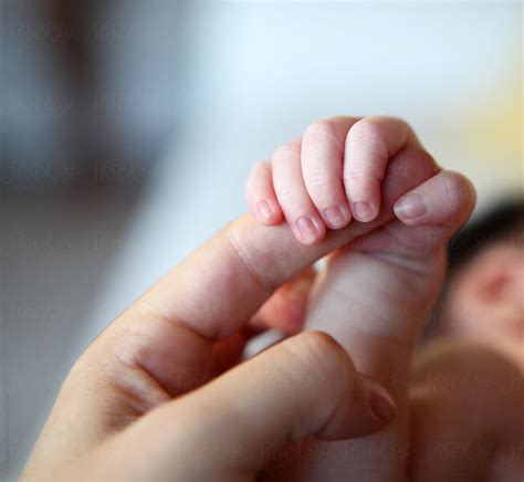Newborn Babys Hand Holding Parents Finger By Stocksy Contributor