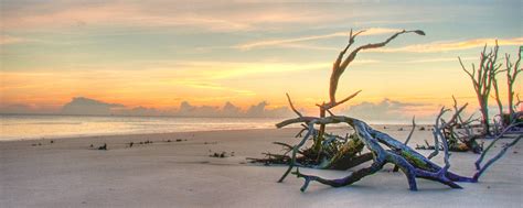 231 chapel crossing rd, brunswick, ga 31525, usa. Hotel Near Brunswick, GA | The Westin Jekyll Island