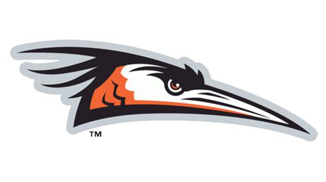 Delmarva Shorebirds Logo And Symbol Meaning History Png Brand