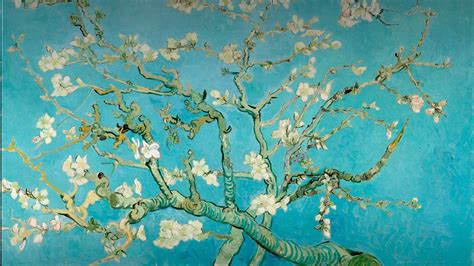 Vincent Van Gogh Almond Blossoms 1890 Quiet Revolution