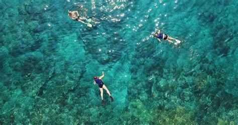 Best Snorkeling Spots On The Big Island Hawaii Sea Paradise