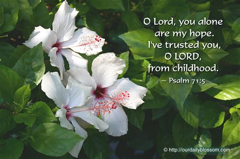 The raven, eight species of which are found in israel , is by far the most common of all the birds of that country, where it is with buzzards , vultures. Flower Bible Quotes. QuotesGram