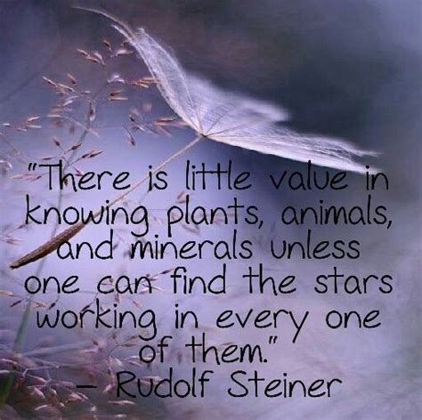 Rudolf Steiner Quotes Rudolf Steiner Spiritual Words Spiritual Health