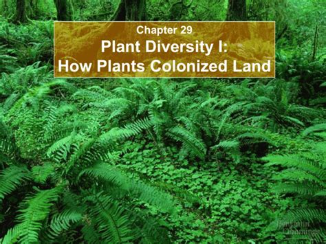 Lecture 12 Plant Diversity 1