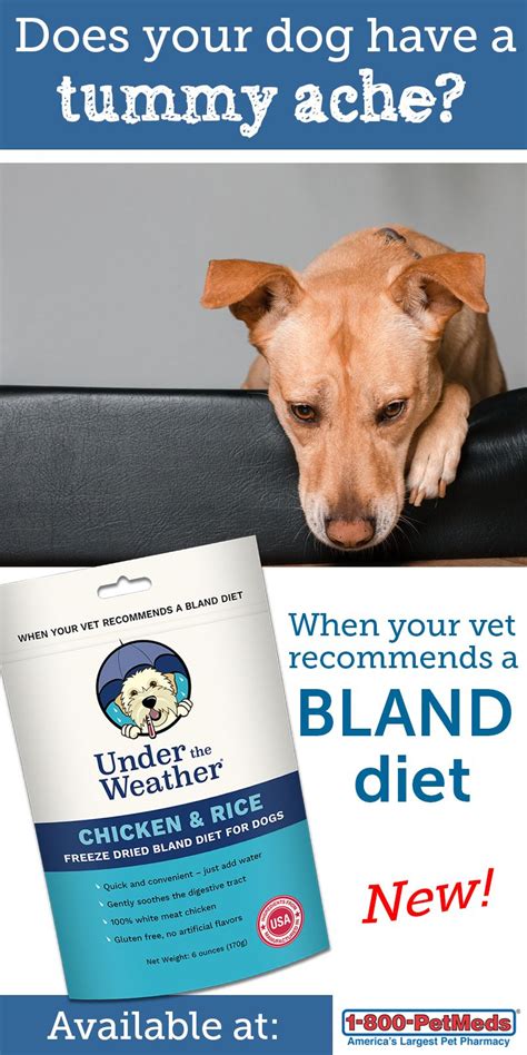 A bland diet consists of foods that are easy to digest, are soothing to the digestive system and contain ingredients that help restore a solid stool. Under the Weather Chicken & Rice Freeze Dried Bland Diet ...