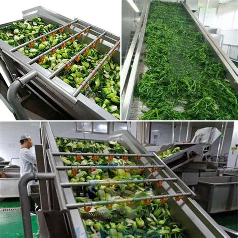 Continuous Vegetable Blanching Machine Fruit Blanching Sterilizer