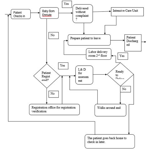 The Arnold Palmer Hospitals Process Flow Chart Healthcare Paper Examples