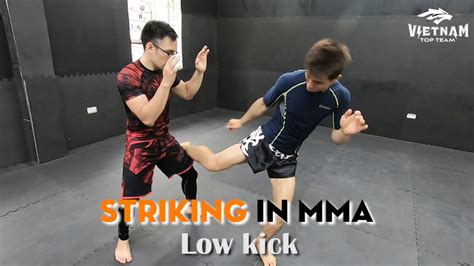 Striking In Mma Low Kick Youtube