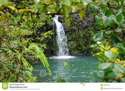 Waterfall In Rain Forest Royalty Free Stock Images Image