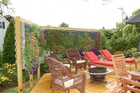 Working with a small backyard is both easy and tricky at the same time. 11 Privacy fencing ideas: Make your garden or balcony ...