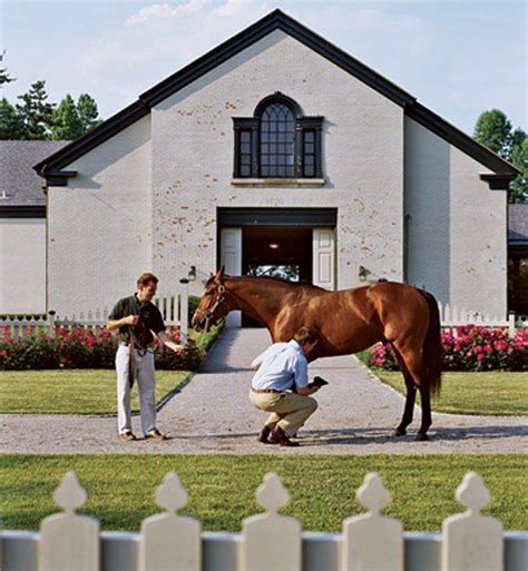 116 Best Kentucky Horse Farms Images On Pinterest Horse