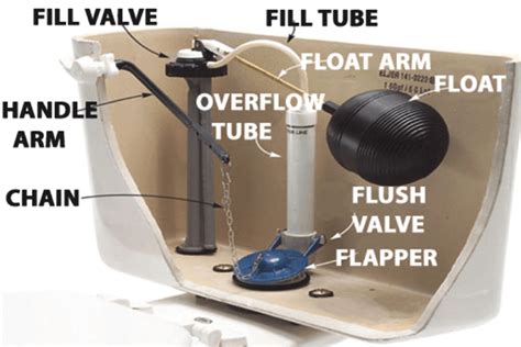 How To Adjust Toilet Float Ball Cylinder Toilet Float Livingproofmag