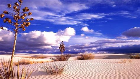 720p Free Download Beautiful Desert Landscape Sand Nature Deserts