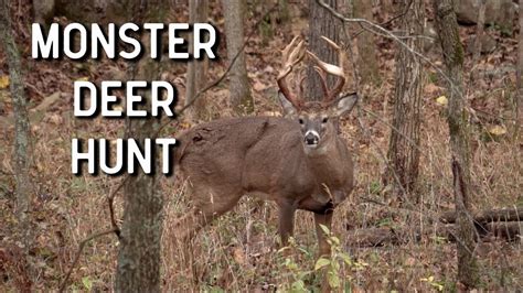 Monster Deer Hunt Oak Creek Whitetails Youtube