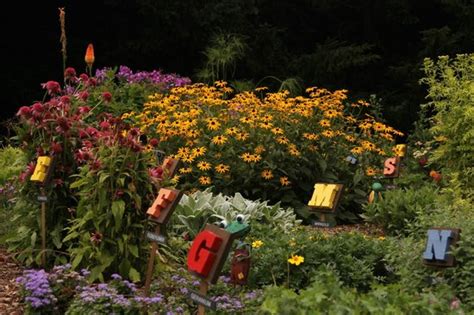 Hosta Garden Picture Of Klehm Arboretum And Botanic Garden Rockford