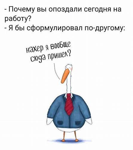 Смешные фразы про диету короткие