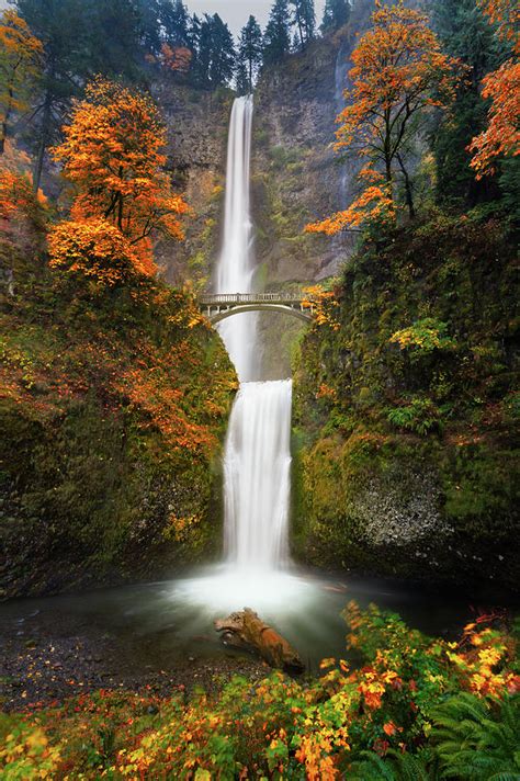 Multnomah Falls In Autumn Colors Photograph By William Freebilly