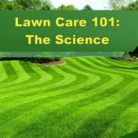 Lawn Care 101 The Science Behind Your Yard Episode 197