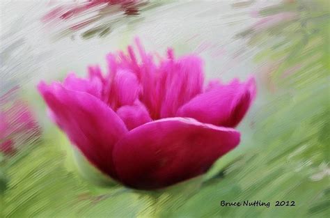 Pretty Pink Flower Painting By Bruce Nutting Fine Art America
