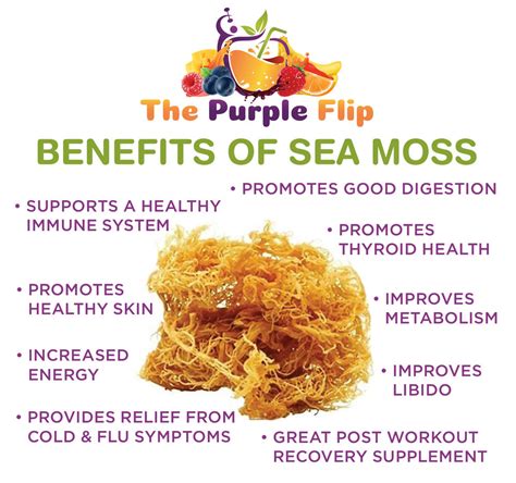 Benefits Of Sea Moss