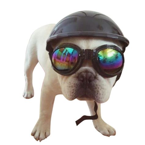 Dog Helmets For Motorcycles With Sunglasses Cool Abs Fashion Pet Dog