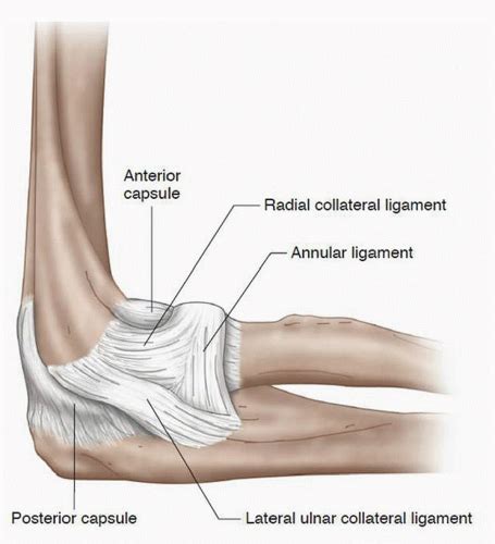 Elbow Radiology Key