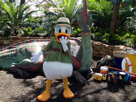 New Enhancements To Donald Duck Meet And Greet At Animal Kingdom
