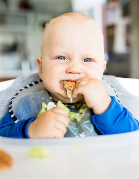 Baby Led Weaning Lassen Sie Ihr Baby Feste Nahrung Selbst Entdecken